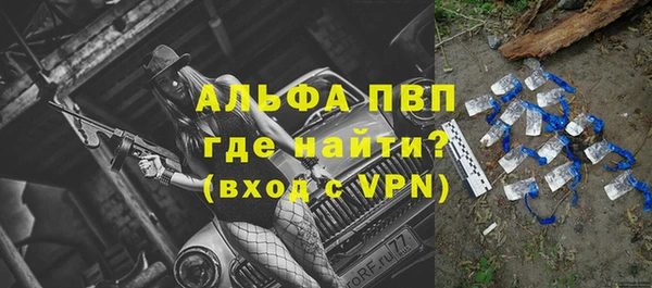 стаф Баксан