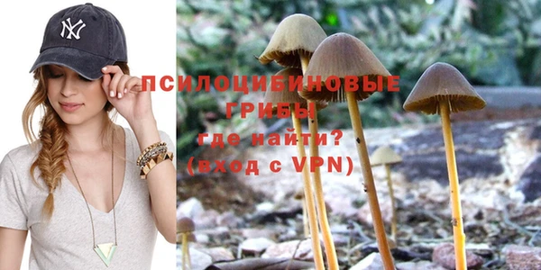 стаф Баксан