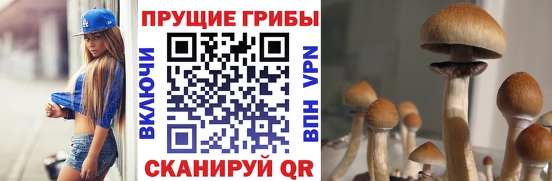 купить наркотики сайты  Бахчисарай  Псилоцибиновые грибы мухоморы 